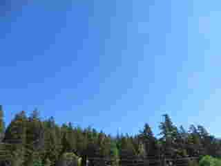 Beispiel eines Bildes, dessen Komprimierung Konturierung eingeführt hat